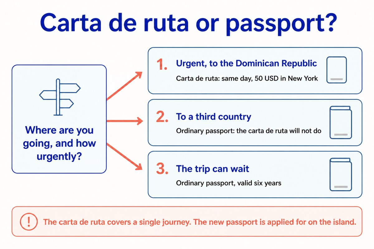 Carta de ruta or passport: Urgent, to the Dominican Republic; To a third country; The trip can wait
